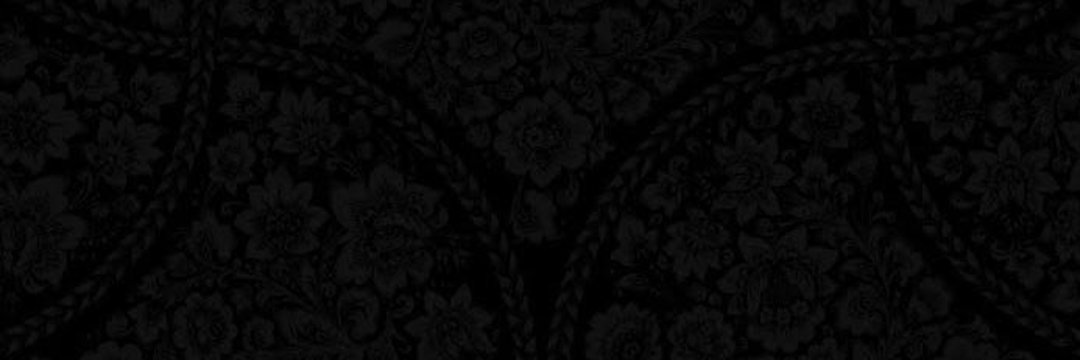 larialeixoo's profile banner image