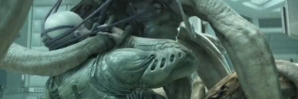 vitavixik's profile banner image