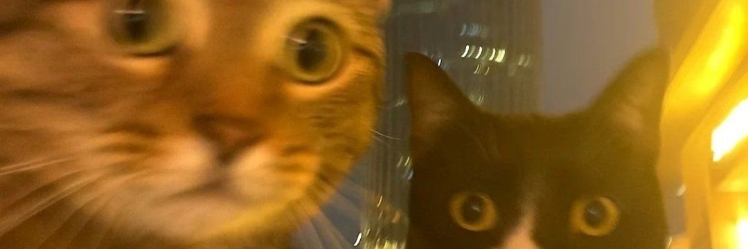 unknownrnemory's profile banner image