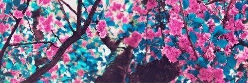 __StephTaylor's profile banner image