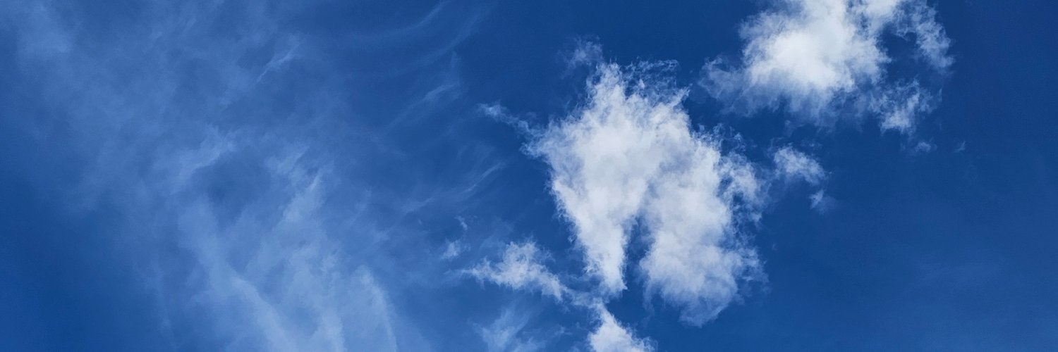 nataliecka's profile banner image