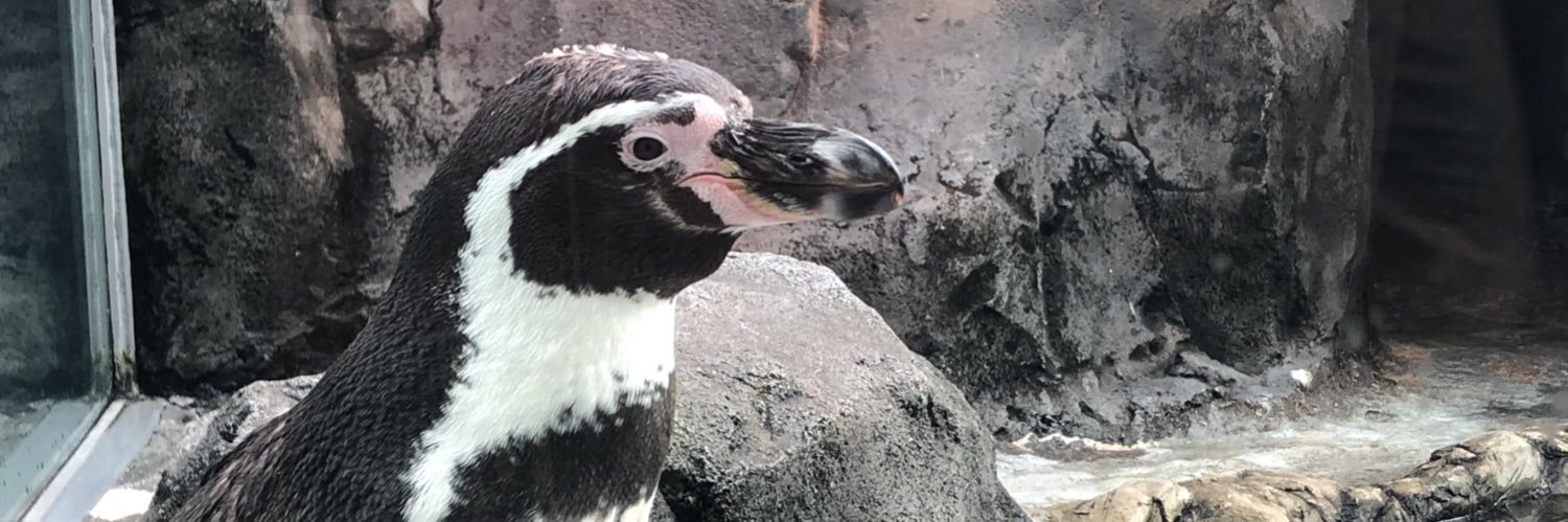 こすけ@super scramble banner