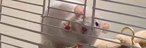 Safar1man Profile Banner