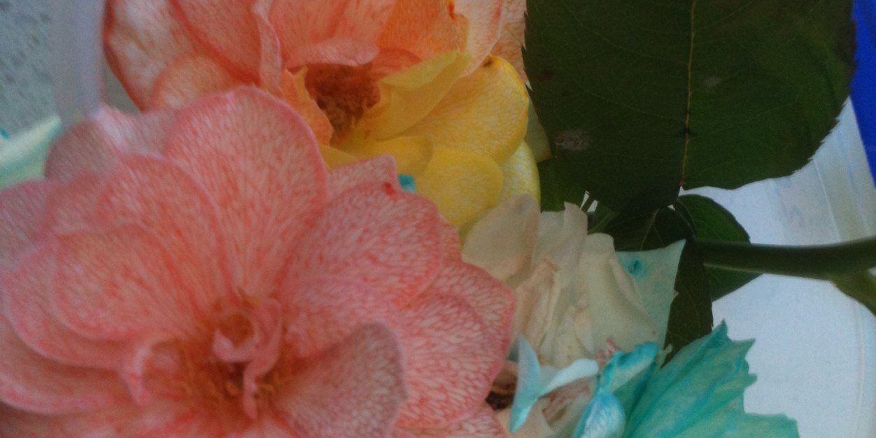 reilly_cm's profile banner image