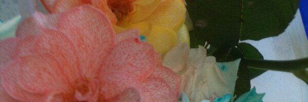 reilly_cm Profile Banner