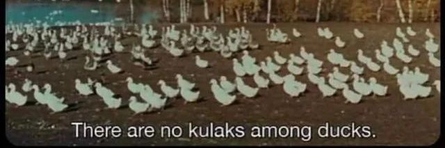 futurehomestead banner