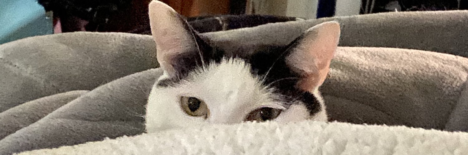 soup slut banner