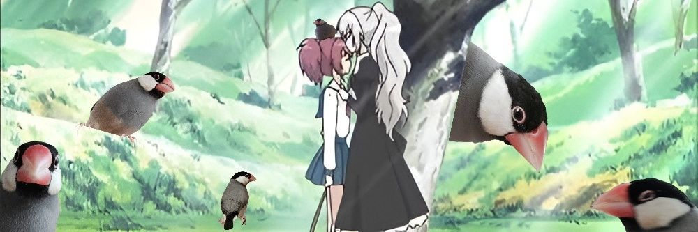 Fifo ˗ˏˋ 𓅪 ˎˊ˗ banner