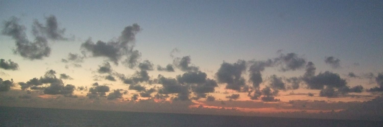 ReallySarah's profile banner image
