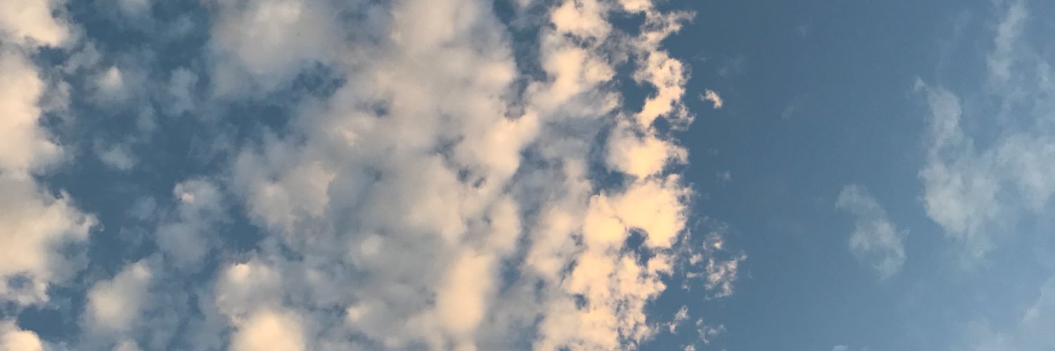 hanpatrick_wang's profile banner image