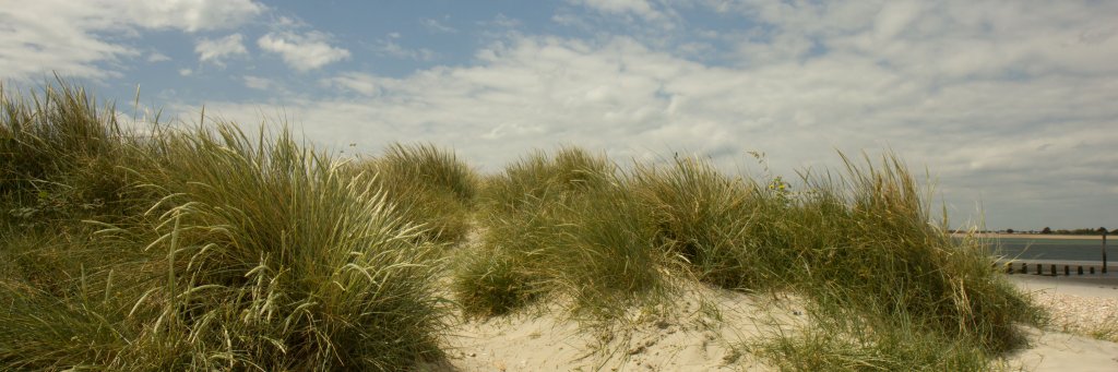 slsf4's profile banner image
