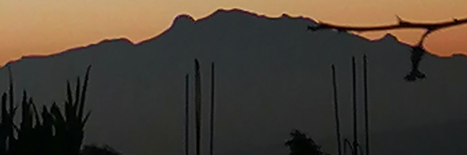 DannaMR33's profile banner image
