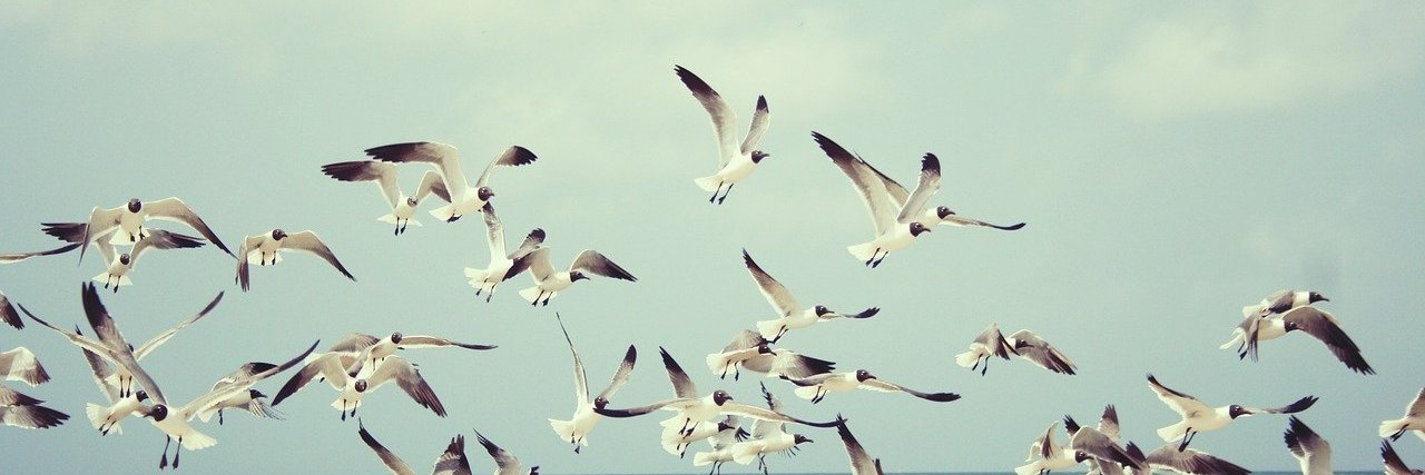 header image