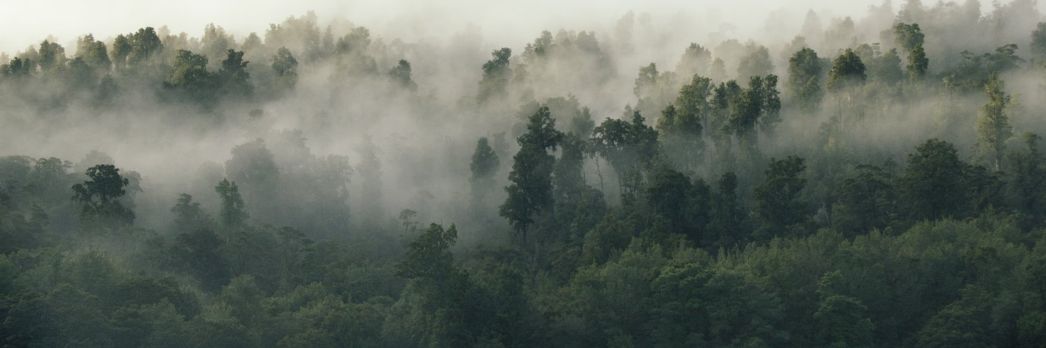 UPFOREST banner