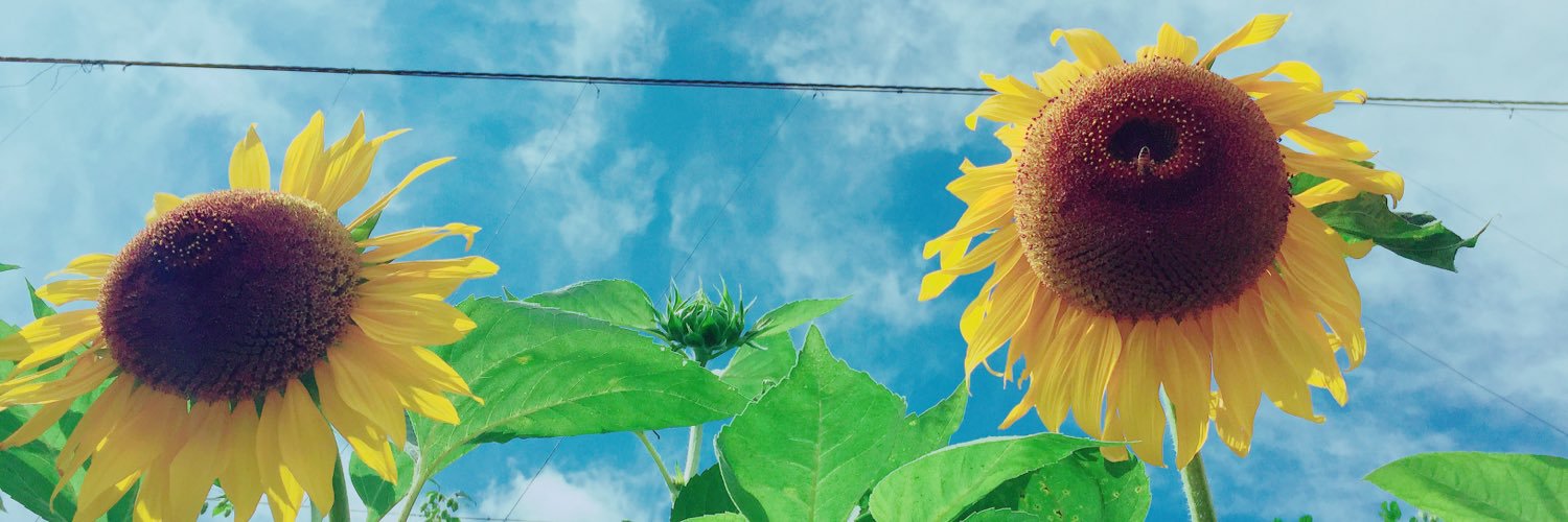 fmb101ch's profile banner image