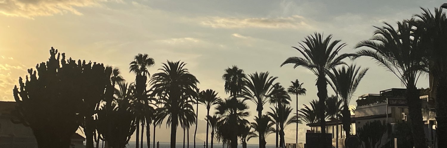ShaunaghBear's profile banner image