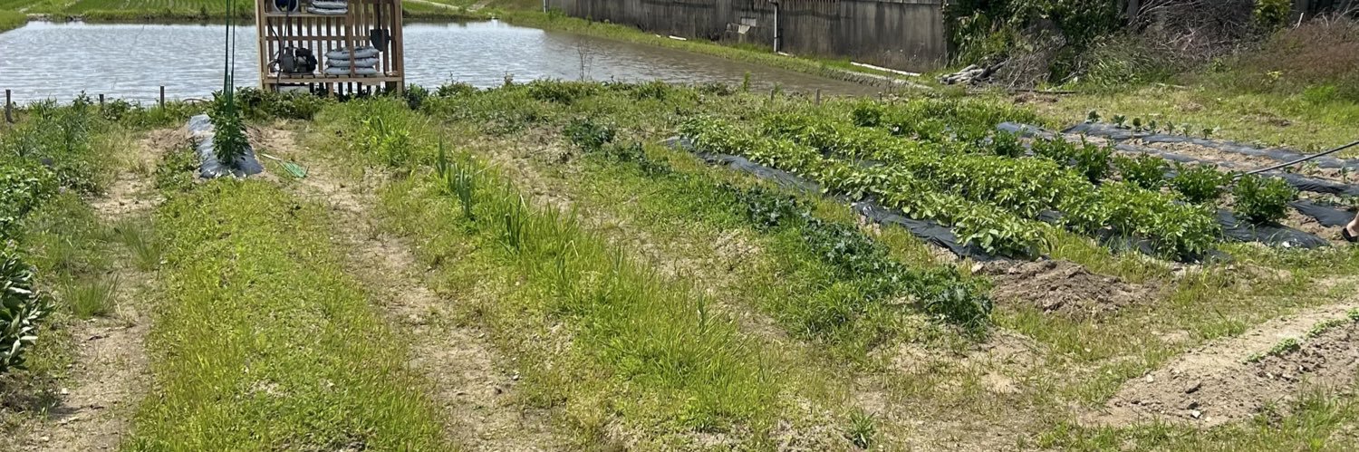 りゅ～いんちむ　HYPERFARM×リアルファーム banner