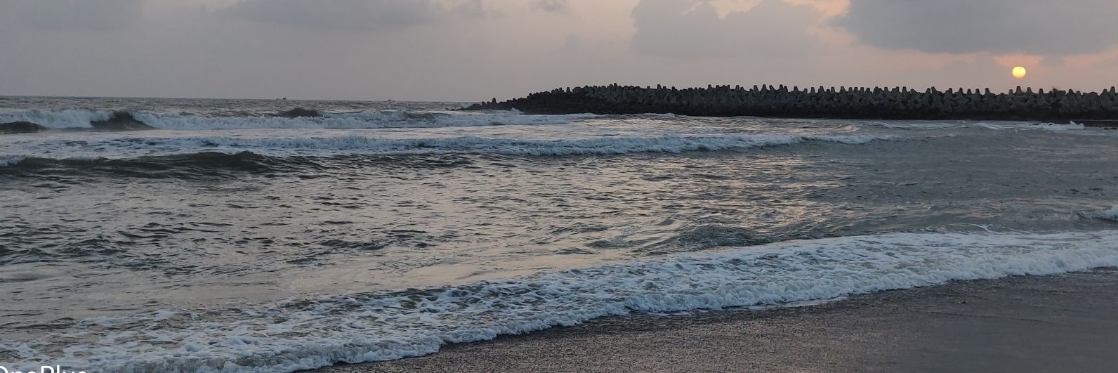 shaileeparikh's profile banner image
