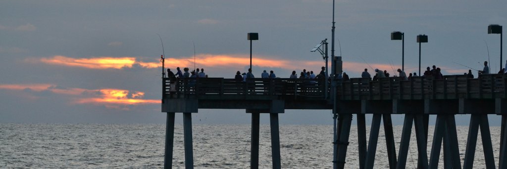 D_Sandy3408's profile banner image