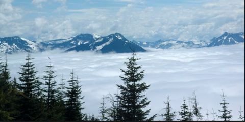deviandianii's profile banner image