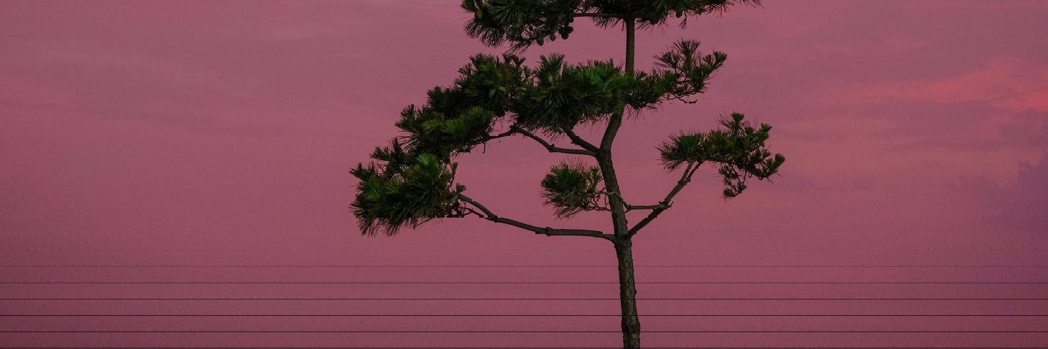deezhf's profile banner image