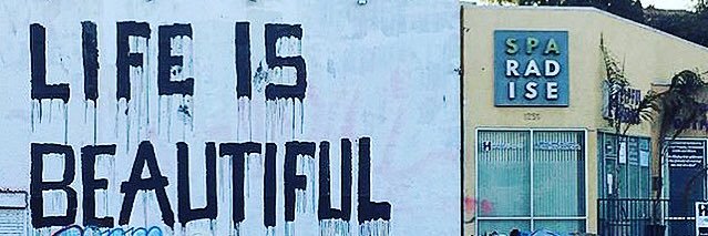 ingxflattail's profile banner image