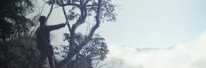 Domadoma1192's profile banner image