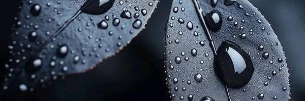 samershaker919 Profile Banner