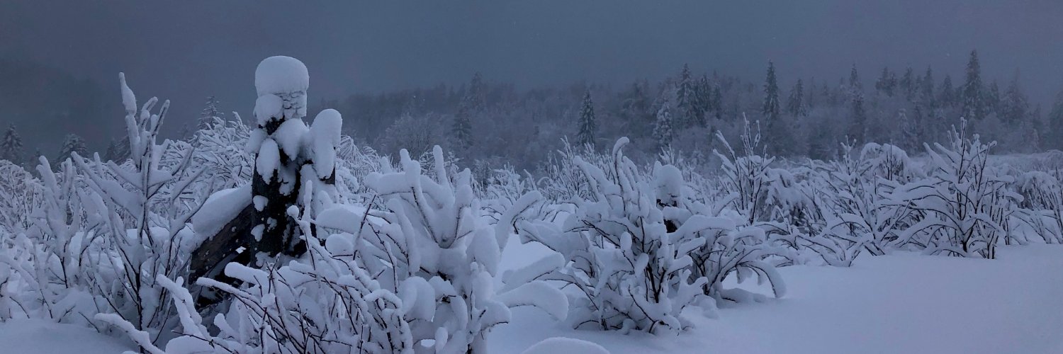 Nazar Fedorchuk banner