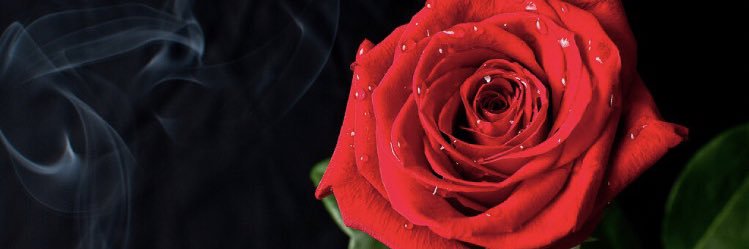 R2530's profile banner image