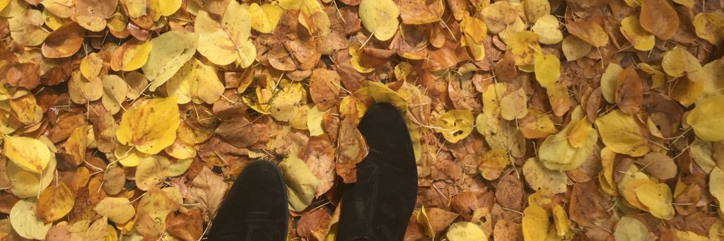 Jonnaschippert's profile banner image