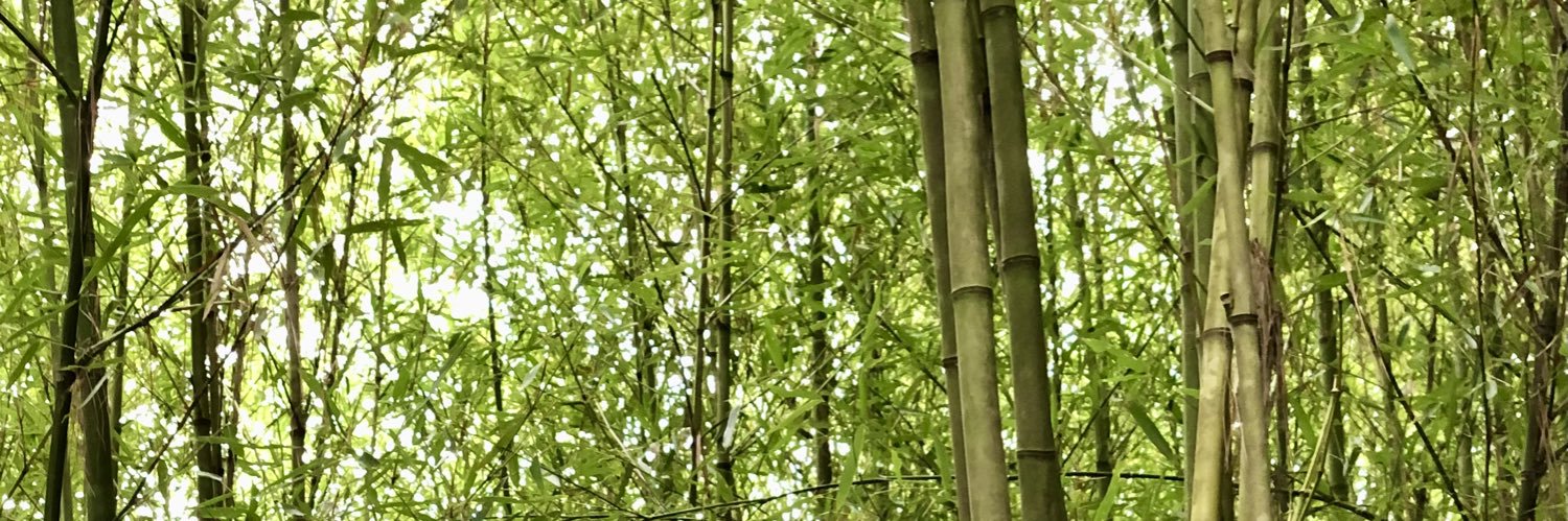 iamKAROLKAY's profile banner image
