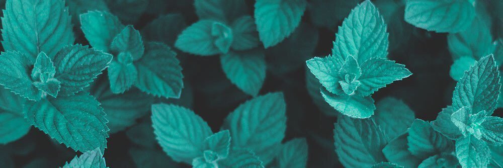 i_pingvin's profile banner image