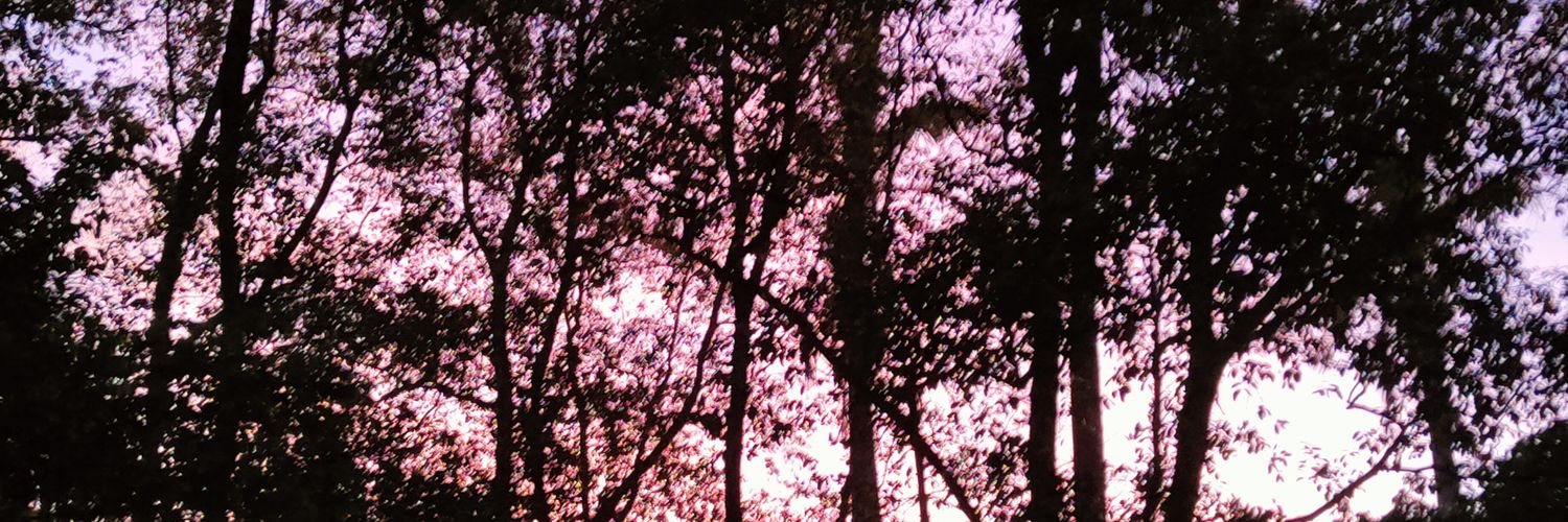 ･ﾟ☆ nadwell banner