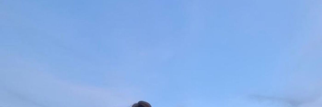 𝓘𝓶𝓟 banner