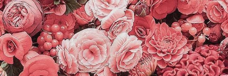 ____Morgane____'s profile banner image