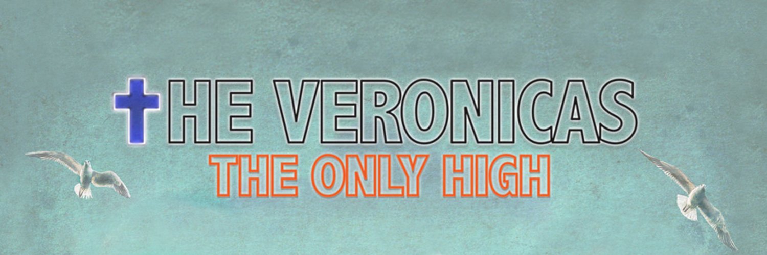 Love The Veronicas banner