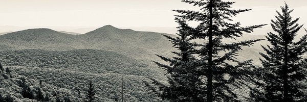 joannpip Profile Banner