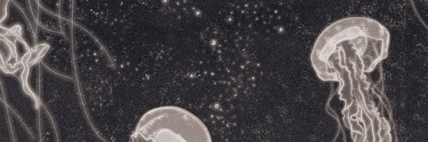 tulipichu Profile Banner