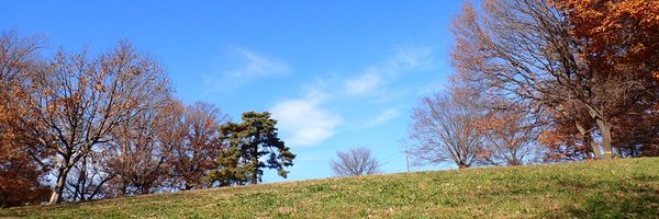 NhtkoofhXL4QrlB Profile Banner