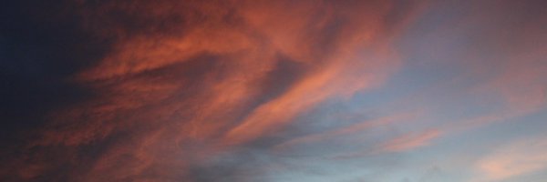 stefaniapmolina Profile Banner