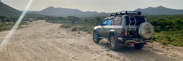 torridanalytics Profile Banner