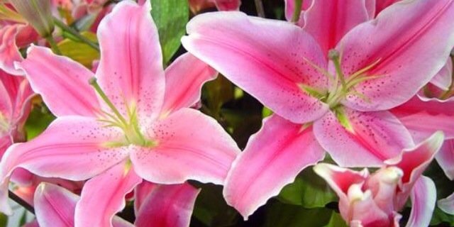 _KellyAnne91's profile banner image
