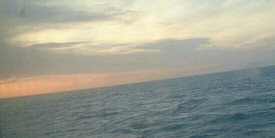 TrilloRocio's profile banner image