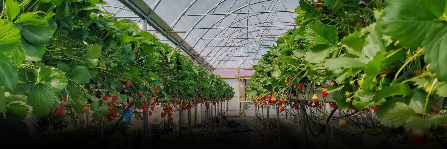 The Village at Wheelocks banner