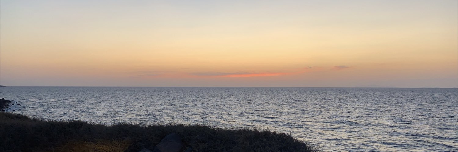 amyreed_x's profile banner image
