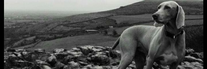 HeatherK_83's profile banner image