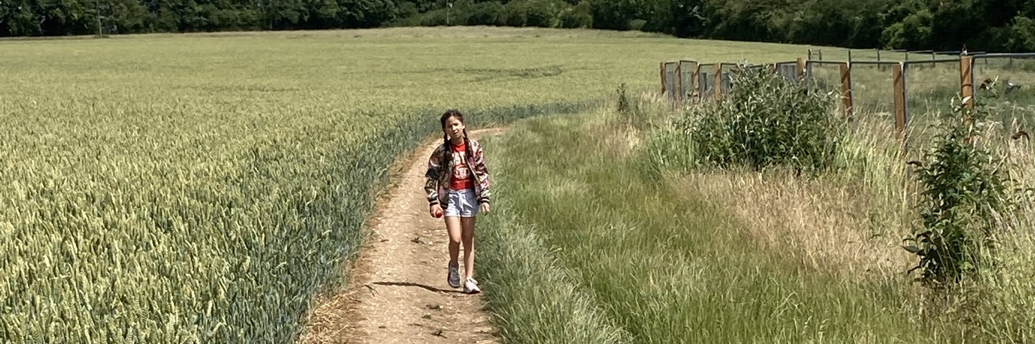 Rachel Newell banner