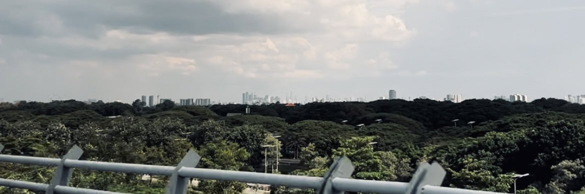 coramelll's profile banner image