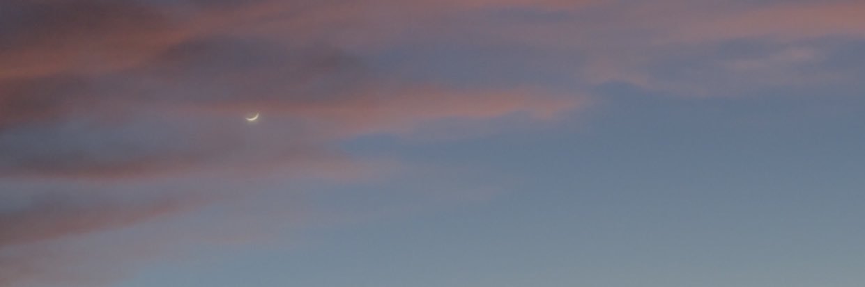 TubaOztk's profile banner image